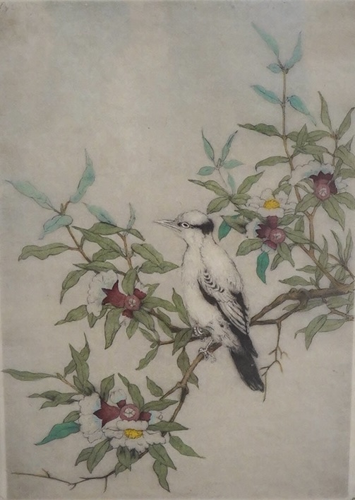 Elyse Ashe Lord (1900-1971), colour drypoint etching, A magpie, signed in ink, limited edition 49/75, 34 x 24cm. Condition - fair